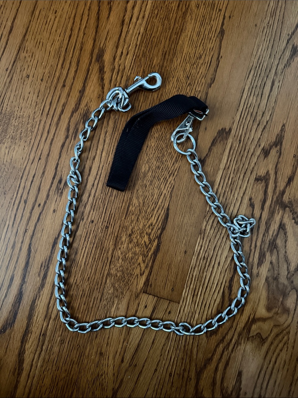 Heavy-Duty Silver Chain Dog Collar with Black Nylon Strap